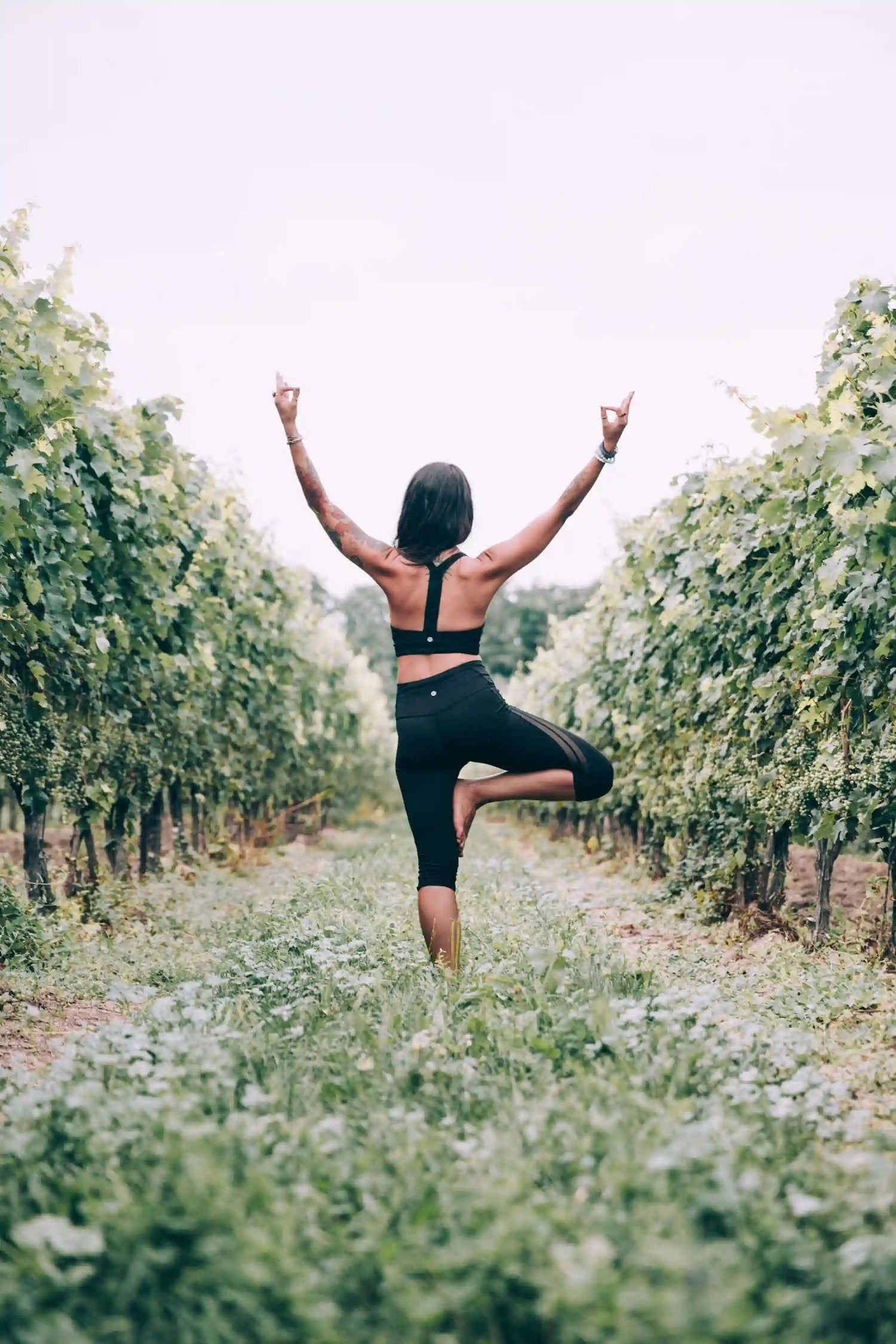 Tree pose yoga in a vineyard, symbolizing great balance and serenity.